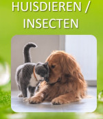 Afbeelding invoegen
